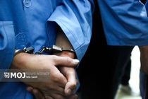 دستگیری ۲ سارق با ۱۴ فقره سرقت در ایلام