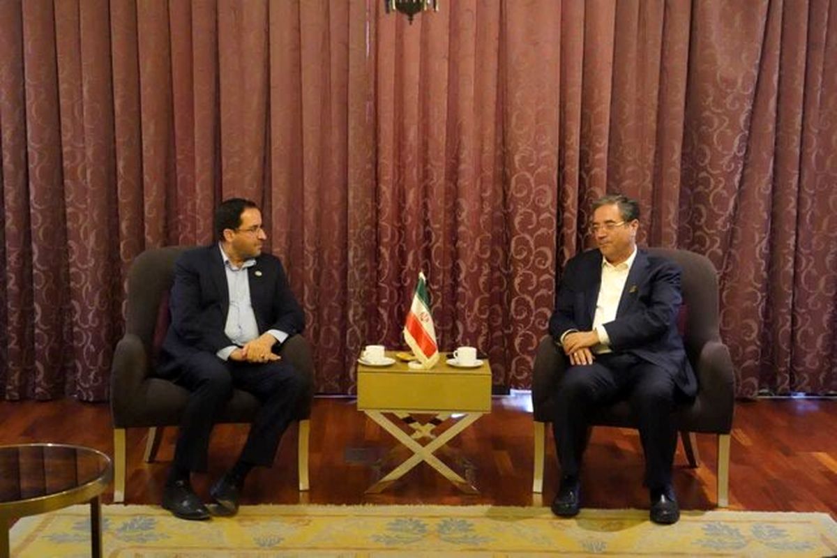 رضا افلاطونی