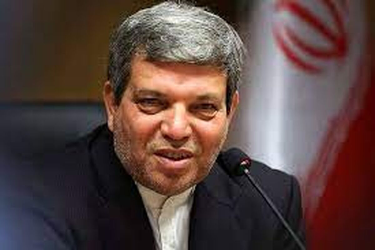سید جواد حسینی رئیس سازمان بهزیستی کشور