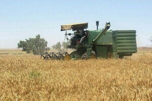 عملیات مکانیزه برداشت جوآبی و دیم از اراضی شهرستان مشهد 