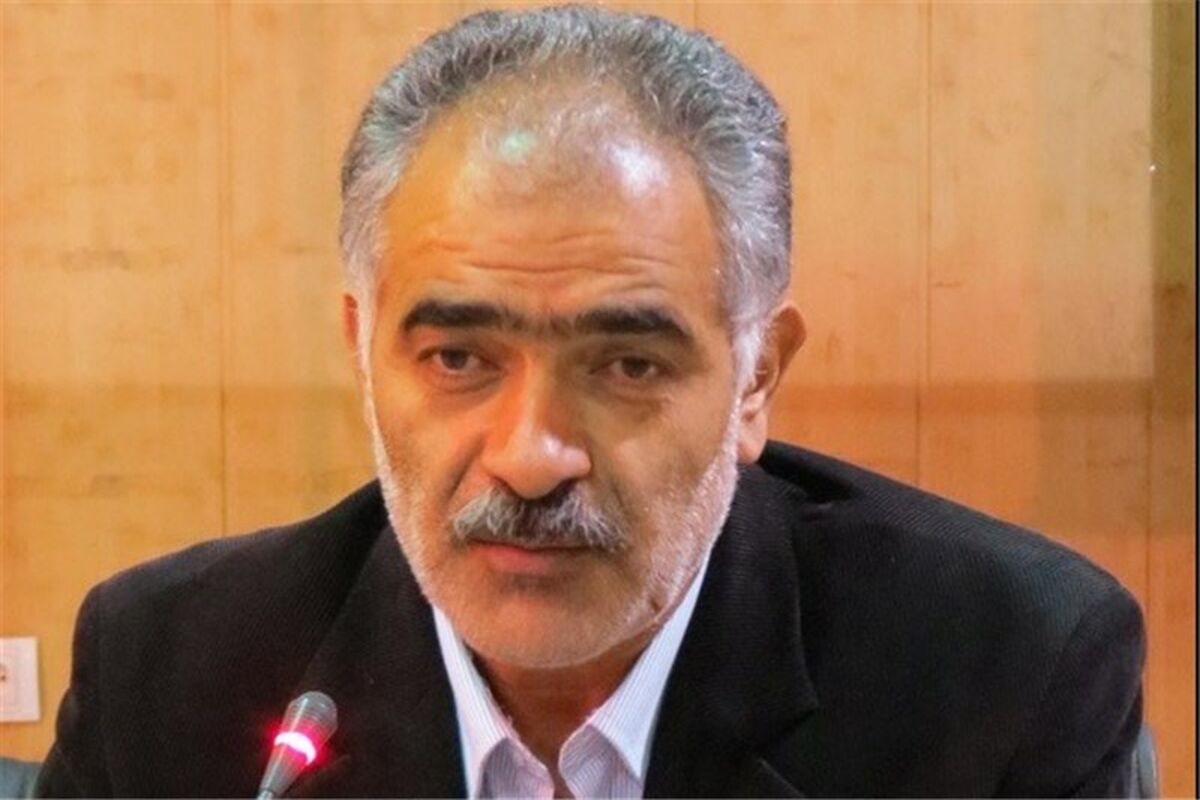 رضا گل محمدی