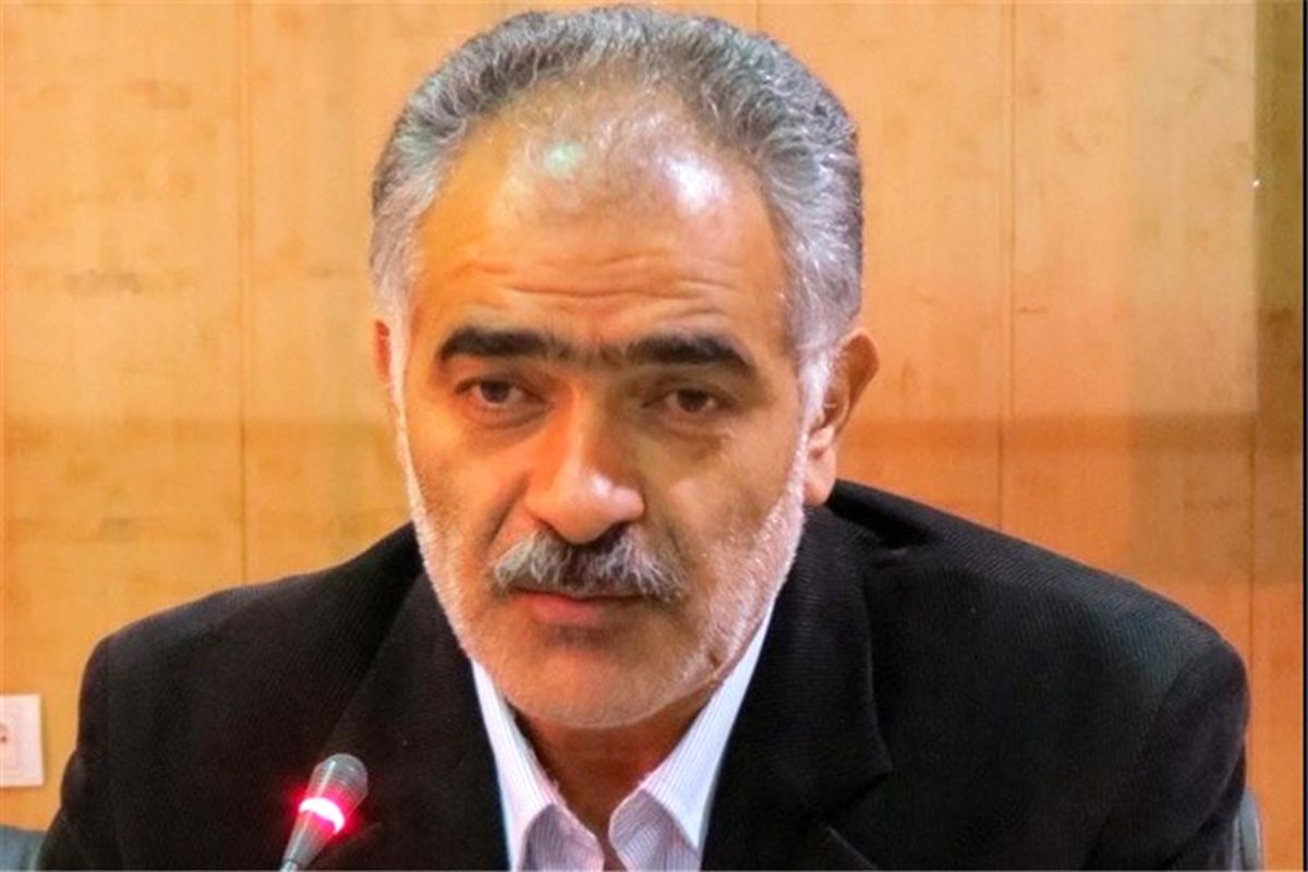 رضا گل محمدی