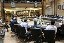 عدم کارایی مشوق های اقتصادی فرزند آوری با وجود افزایش سن ازدواج