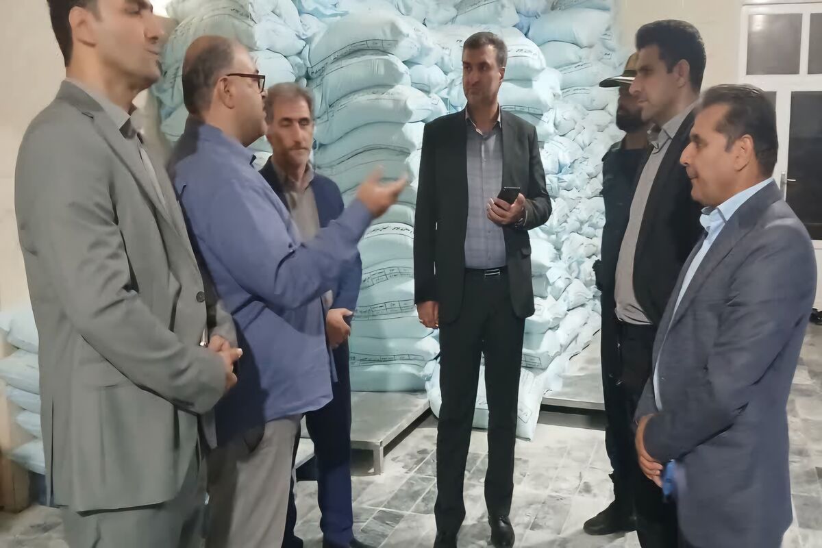 بازدید.