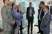 بازدید میدانی از واحدهای تولیدی و کشاورزی دره‌شهر