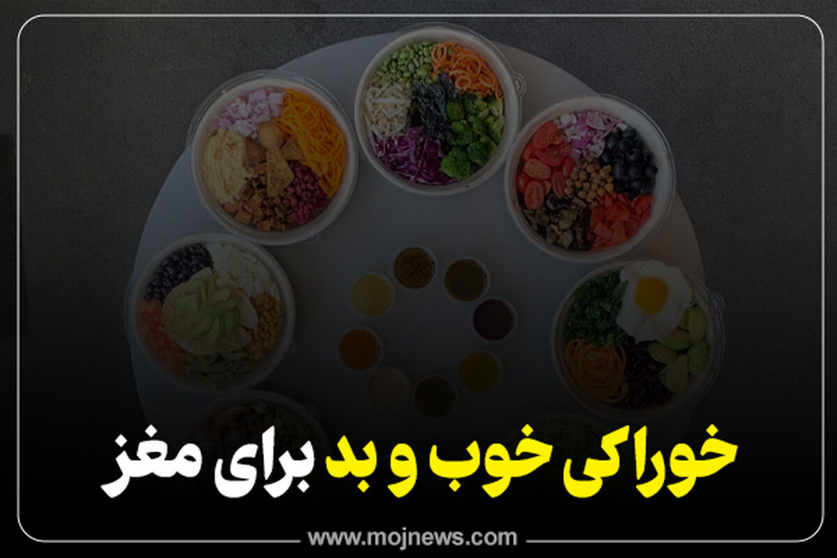 مغز