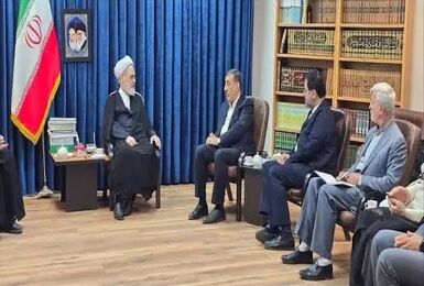 دیدار معاون‌اجرایی رئیس جمهور با آیت‌الله اعرافی