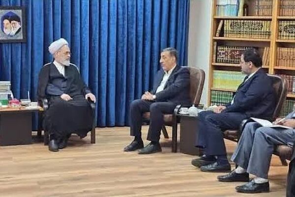 دیدار معاون‌اجرایی رئیس جمهور با آیت‌الله اعرافی