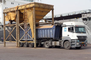 بارگیری 31 هزار تن گندم کشاورزان خوزستانی به مقصد ایتالیا 