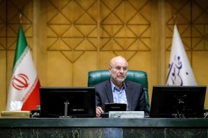 قالیباف از وزیر جهاد کشاورزی درباره قیمت بالای مرغ در بازار انتقاد کرد