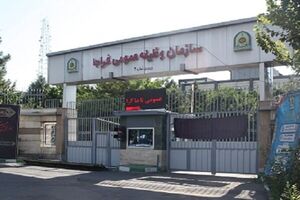 ضوابط ثبت نام مشمولان غیرغایب پذیرفته شده در دانشگاه‌های فرهنگیان و شهید رجایی تشریح شد