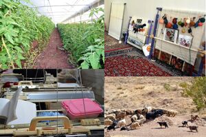 افتتاح 8 طرح تعاونی روستایی در استان اصفهان 