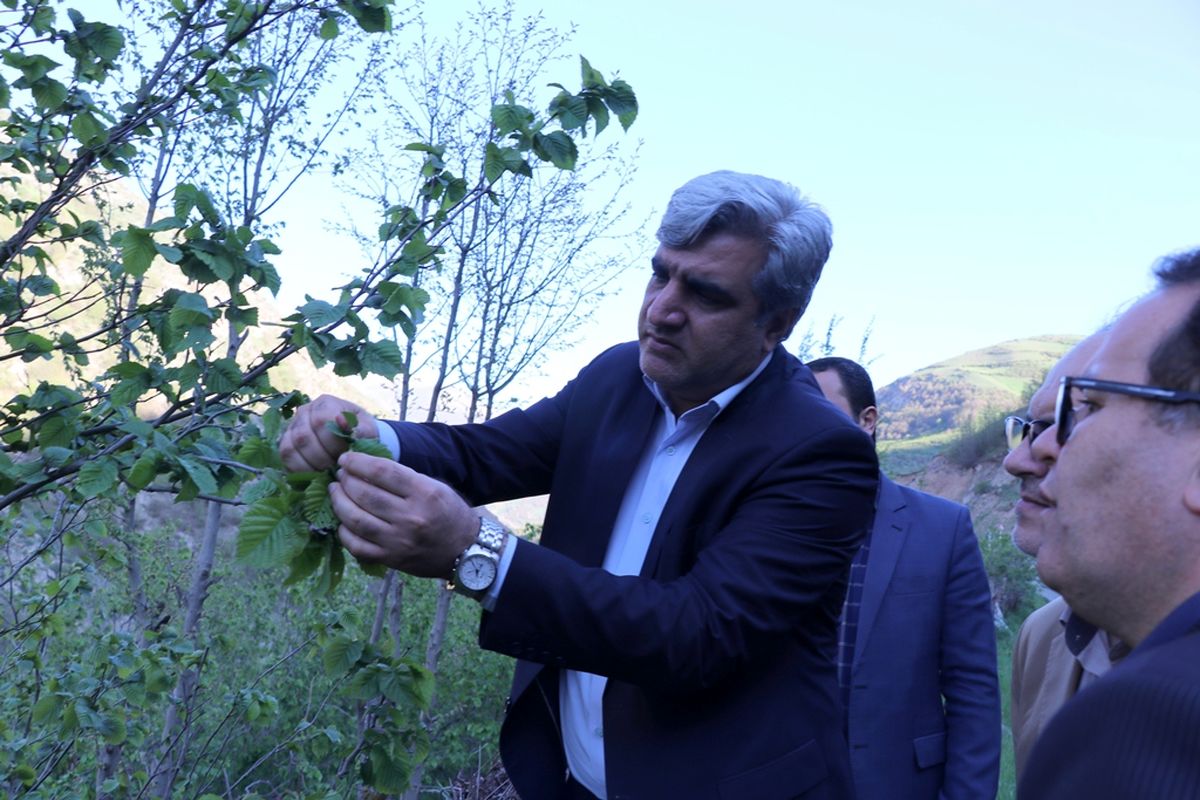 استاندار گیلان