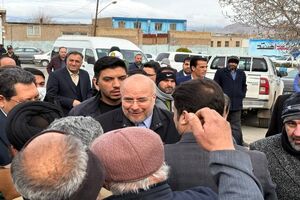 رئیس مجلس شورای اسلامی وارد تربت حیدریه شد