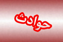 جزئیات خودسوزی یک فرد در خیابان ولی عصر