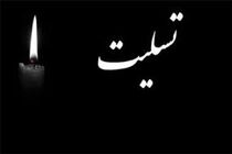 شورای هماهنگی تبلیغات اسلامی حادثه بندر شهید رجایی را تسلیت گفت