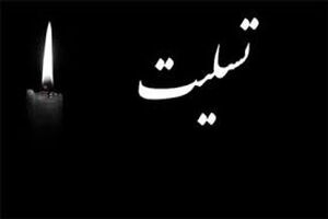 پیام تسلیت فرشید فرخ نژاد درپی درگذشت مدیرعامل بانک ملت
