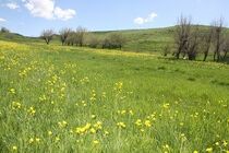 دمای هوای جنوب آذربایجان غربی ۶ درجه کاهش یافت