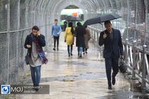 ٢٠ استان کشور آخر هفته برفی و بارانی است