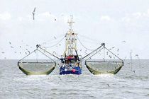 جایگزینی خدمه ایرانی به جای خدمه خارجی در شناورهای صیادی 