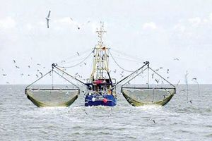 جایگزینی خدمه ایرانی به جای خدمه خارجی در شناورهای صیادی 