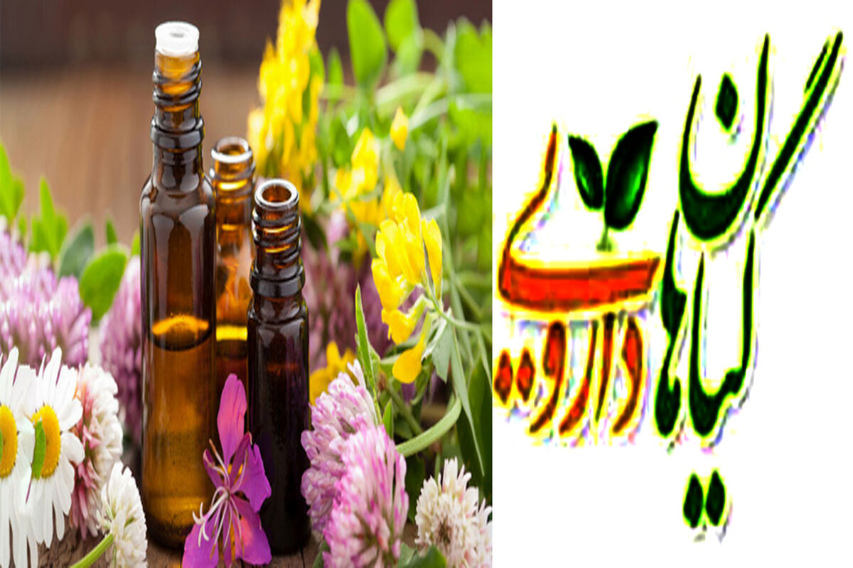گیاهان دارویی خراسان رضوی