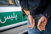 عاملان نزاع خیابانی و تخریب خودروها در جنوب تهران بازداشت شد