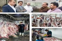 ذبح بیش از 270 دام سبک و سنگین در کشتارگاه صنعتی دام کاشان