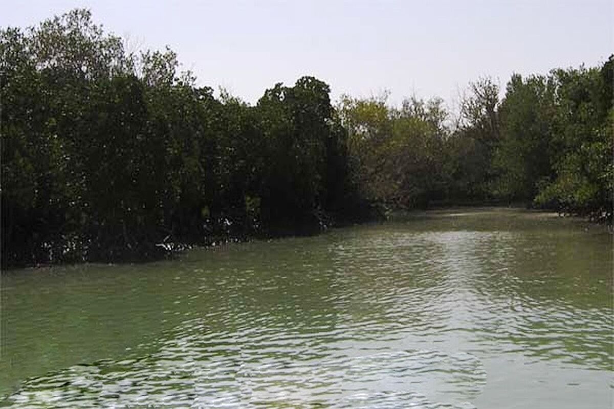 تالاب تیاب