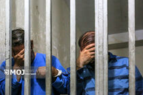  پر پرواز کلاغ‌های غریبه در مشهد ریخت