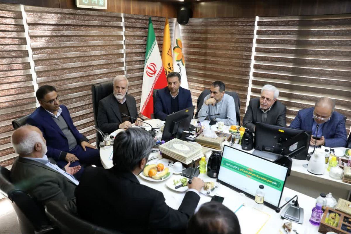 شهرداری شیراز