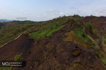 ضریب حفاظتی جنگل های کشور تا پایان برنامه ششم توسعه 100درصدی می شود
