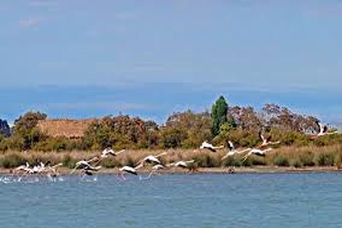 تالاب میانکاله