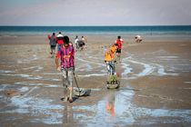 کاشت نهال حرا در سواحل جزیره هرمز 