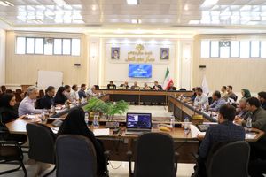 سرانه ورزشی اردبیل نصف میانگین کشوری؛ اردبیل کمترین و کوثر بیشترین سرانه را دارد