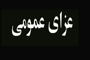 هیات دولت در پی شهادت رهبر انقلاب ۴۰ روز عزای عمومی و ۷ روز تعطیل اعلام کرد