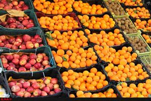 عرضه میوه عید در 140 غرفه فروش آذربایجان شرقی