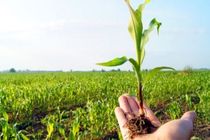 آب مورد نیاز اراضی شرکت‌های کشاورزی و بنگاه‌های اقتصادی استان اردبیل تامین می‌شود