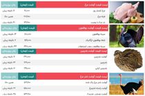 قیمت گوشت مرغ ، بوقلمون، بلدرچین و شترمرغ / قیمت امروز 18 مهر