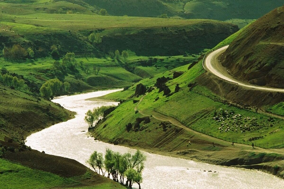 گردشگری