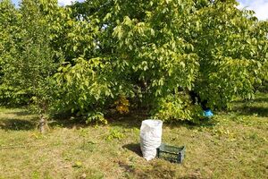 آغاز سنددار شدن اراضی کشاورزی چهارمحال و بختیاری