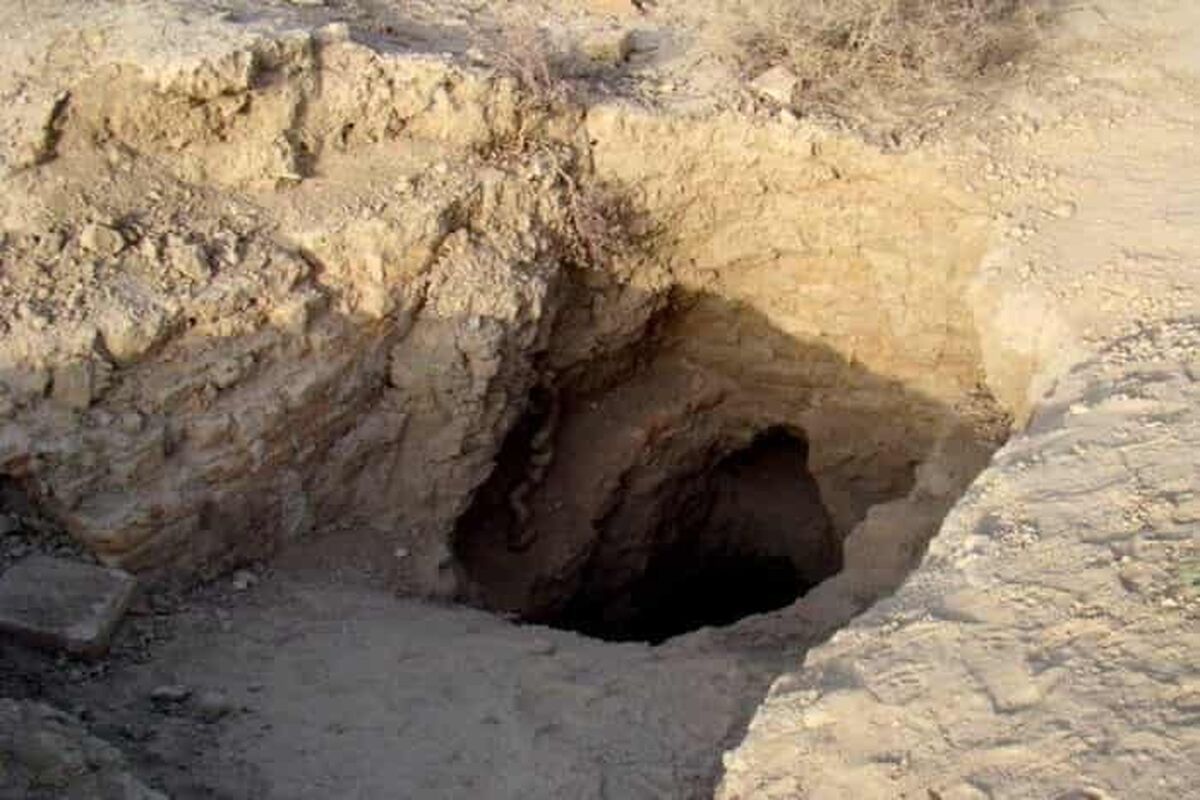 جویندگان گنج