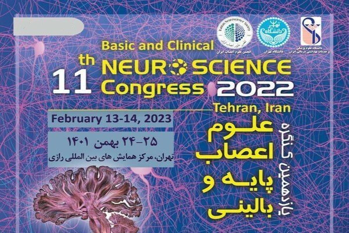 دانشگاه کردستان