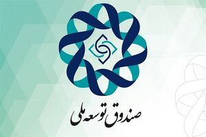 سرمایه بخش صنعت و معدن از صندوق توسعه ملی تامین شد