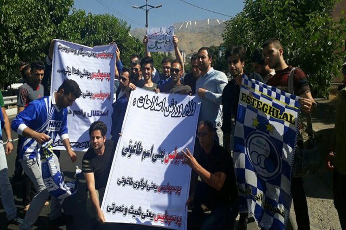 هوادار استقلال