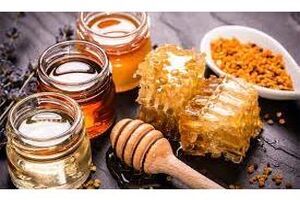تولید 75 میلیاردی عسل در تنکابن