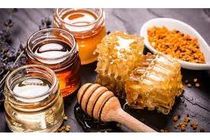 2300 تن عسل در بابل تولید شد