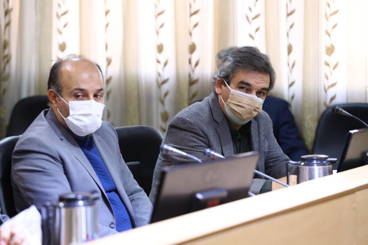 طبیبی