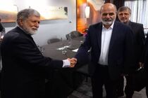 پیوستن ایران به بریکس مناسبات با برزیل را ارتقا می‌دهد