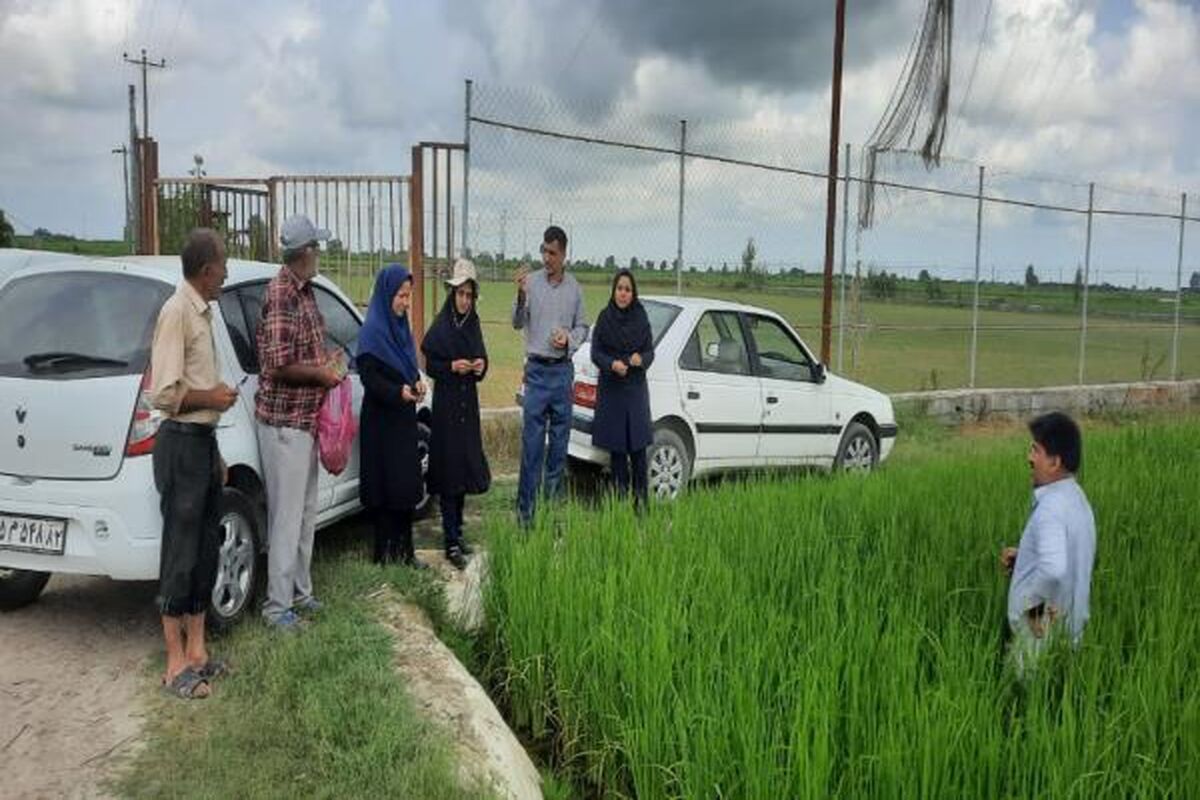 جهادکشاورزی مازندران